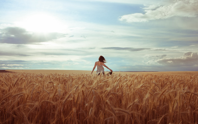 Woman wheat field dog sky free wallpaper - medium preview image