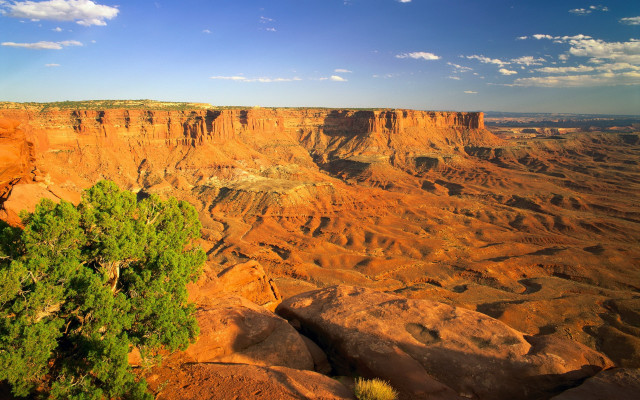 Canyon tree clouds sunset autumn free wallpaper - medium preview image