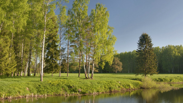 Grassy field river trees blue #2 free wallpaper - medium preview image