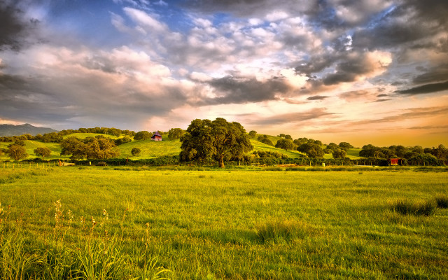 Cloudy sky field trees horizon free wallpaper - medium preview image