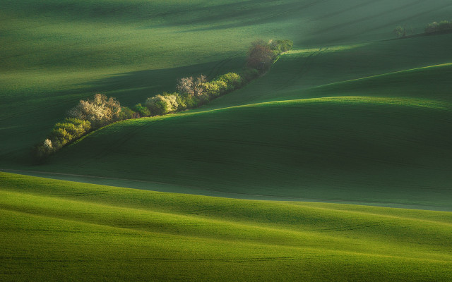 Green field trees hill mountain free wallpaper - medium preview image