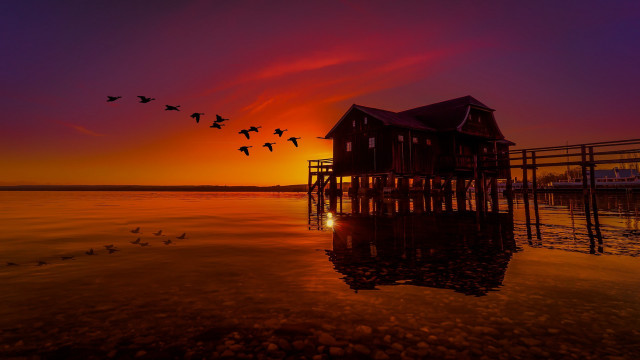 Birds flying over water sunset free wallpaper - medium preview image