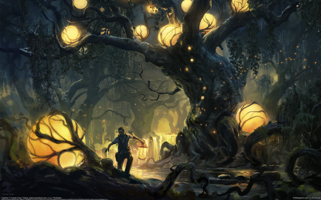 Forest lights man lantern magic free wallpaper - medium preview image