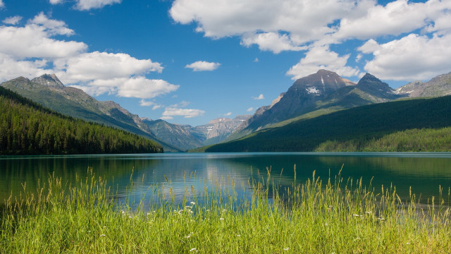 Lake mountains grass clouds flowers free wallpaper - medium preview image