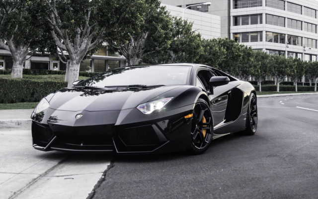 Black sports car building trees free wallpaper - medium preview image