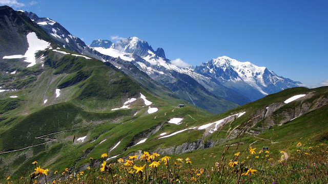 Mountain range snow capped wildflowers free wallpaper - medium preview image
