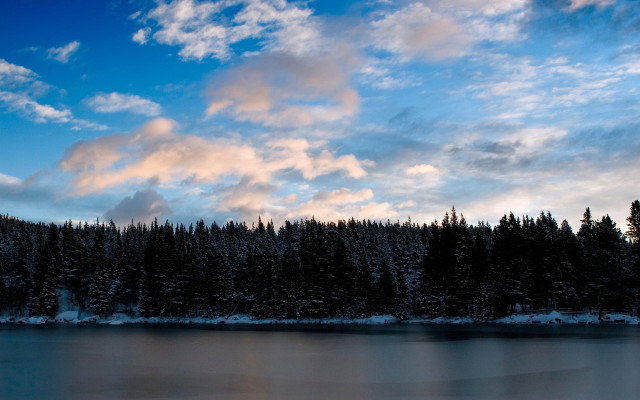 Lake trees cloudy sky winter free wallpaper - medium preview image