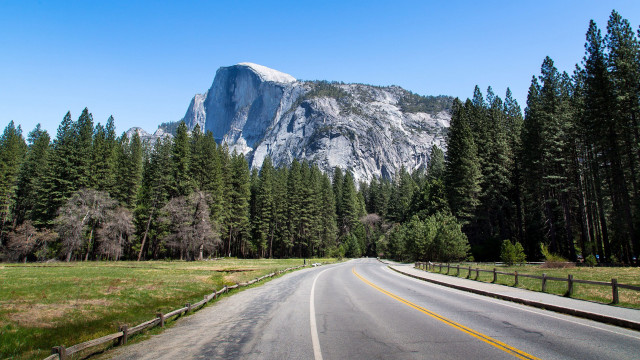 Mountain road forest trees fence free wallpaper - medium preview image