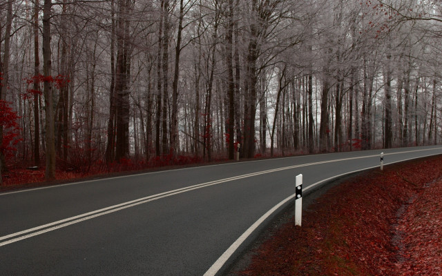 Forest road sign blood branch free wallpaper - medium preview image
