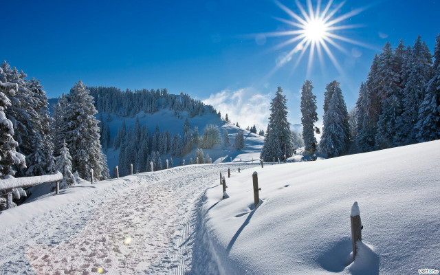 Snow mountain sun trees trail free wallpaper - medium preview image