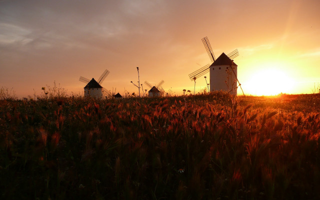 Sunset windmills field redflowers cinematic free wallpaper - medium preview image