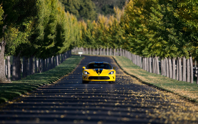 Yellow sports car road trees #2 free wallpaper - medium preview image