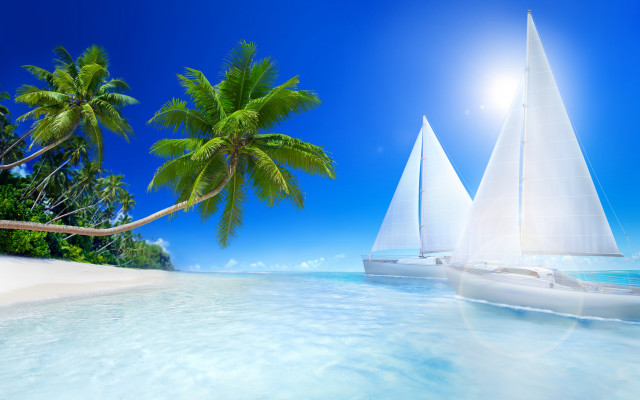 Sailboat boat tropical beach palm free wallpaper - medium preview image