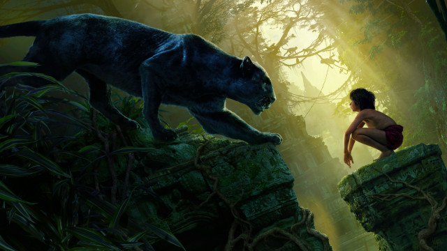 Woman kneeling black cat forest free wallpaper - medium preview image