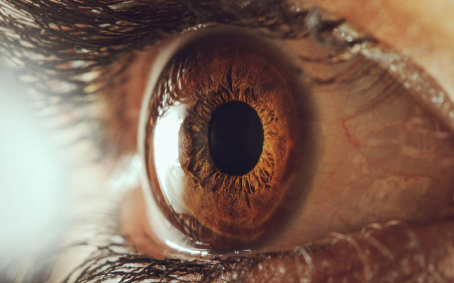 Eye brown iris macro reflection free wallpaper - medium preview image
