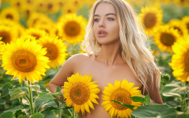 Sunflower field woman blowing wind free wallpaper - medium preview image
