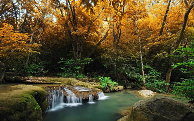 Small waterfall forest rocks plants free wallpaper - medium preview image