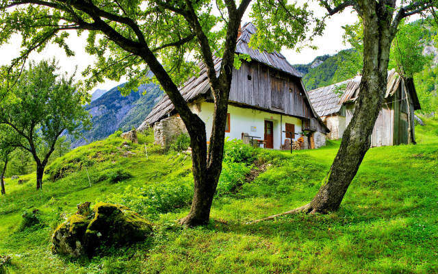 Small house hill tree rock free wallpaper - medium preview image