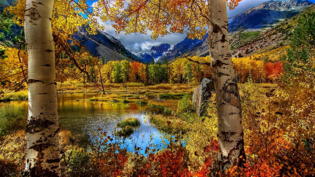 Mountain lake fall foliage trees free wallpaper - medium preview image