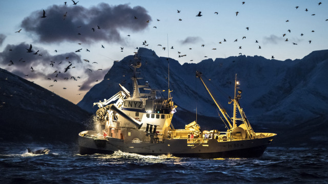 Ecological boat birds mountains sky free wallpaper - medium preview image