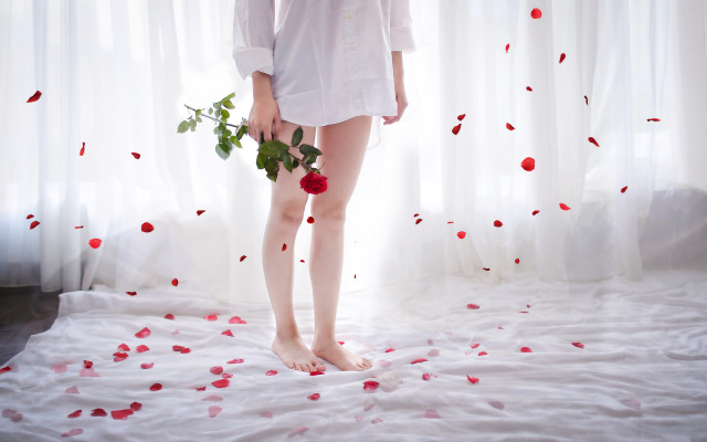 Romantic rose petals woman bathroom free wallpaper for desktop - medium preview image