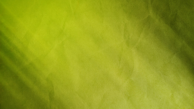 Green background white vase flower free wallpaper - medium preview image