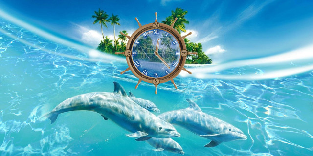 Clock dolphins ocean palm trees free wallpaper - medium preview image