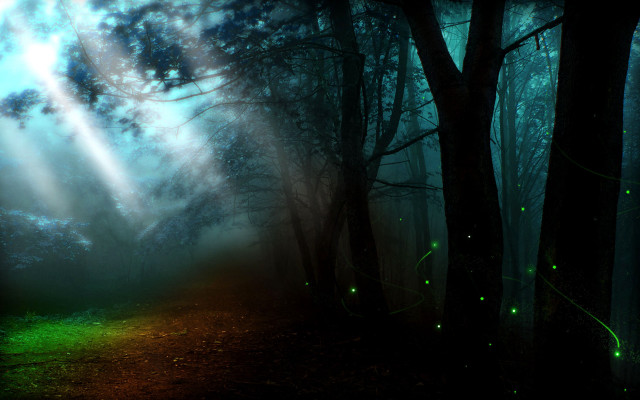 Magical forest light fireflies shooting free wallpaper - medium preview image