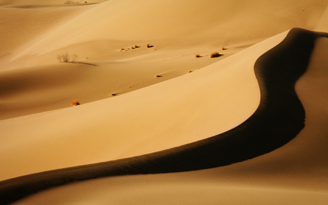 Desert people sand dunes trees #2 free wallpaper - medium preview image