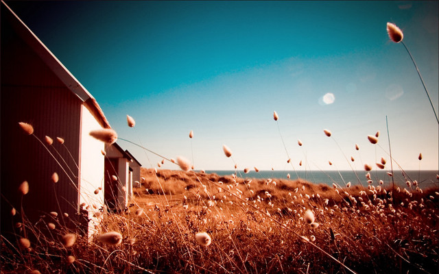 Small house grass field ocean free wallpaper - medium preview image