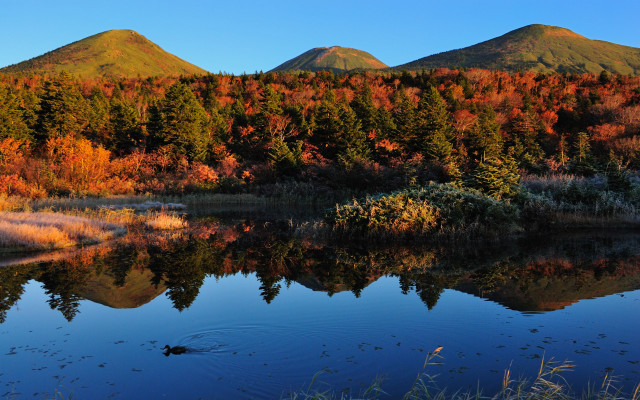 Lake trees mountain sky autumn free wallpaper - medium preview image