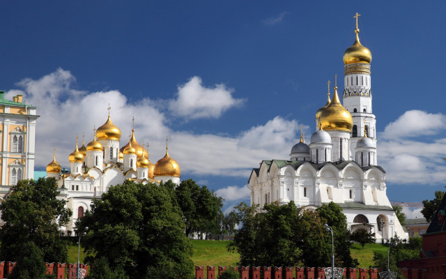 White gold building dome trees free wallpaper - medium preview image