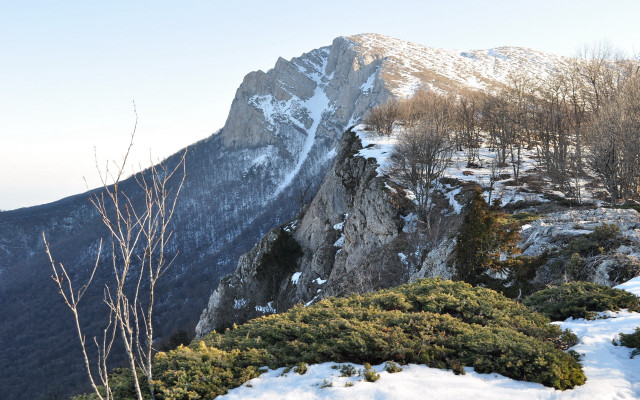 Mountain snow covered trees panorama free wallpaper - medium preview image