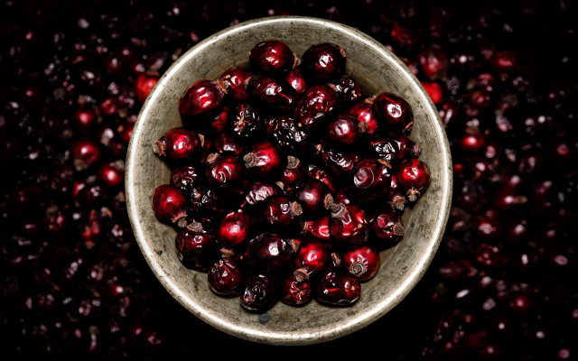 Cranberries bowl black table top free wallpaper - medium preview image