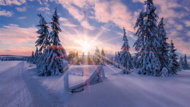 Snowy landscape trees fence sunset free wallpaper - medium preview image