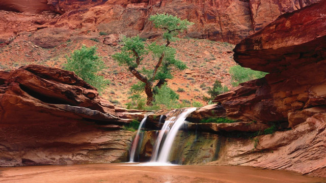 Waterfall canyon tree rockwall nature free wallpaper - medium preview image