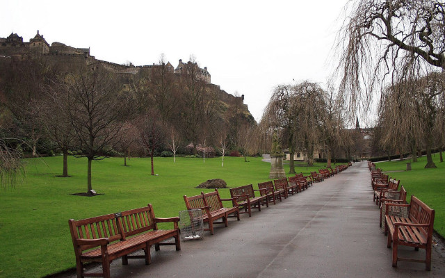 Wooden benches sidewalk lush park free wallpaper - medium preview image