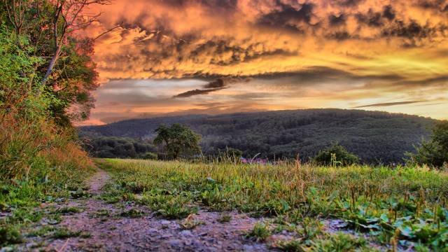Dirt path forest sunset cloudy free wallpaper - medium preview image