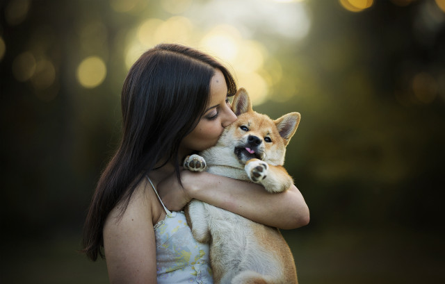 Woman dog park night bokeh free wallpaper - medium preview image
