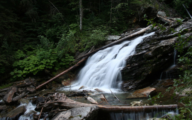 Waterfall forest rocks trees fallen free wallpaper - medium preview image
