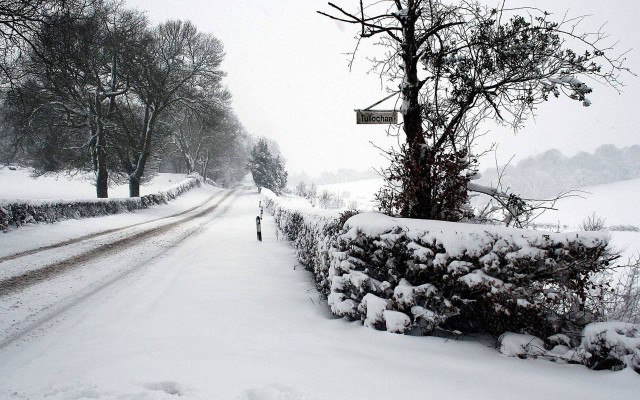 Snowy road sign tree person free wallpaper - medium preview image