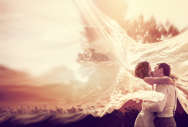 Couple hugging bird tree painting free wallpaper - medium preview image