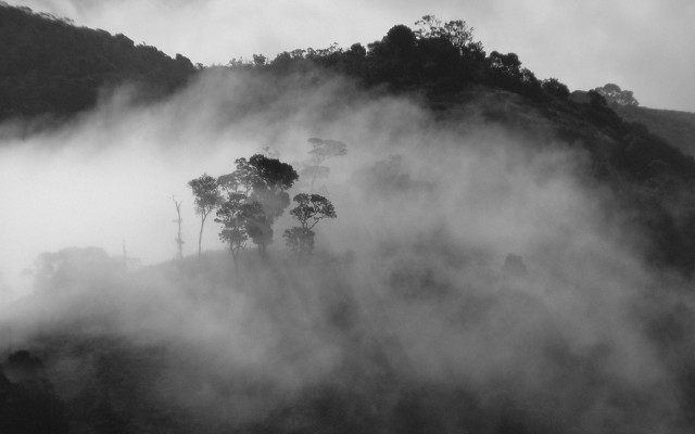 Foggy mountain hill trees houses free wallpaper - medium preview image