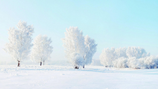 Snowy landscape trees people winter free wallpaper - medium preview image