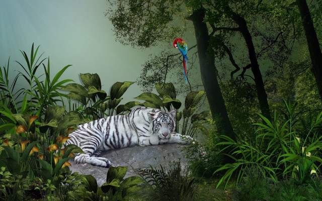 White tiger parrots bamboo forest free wallpaper - medium preview image