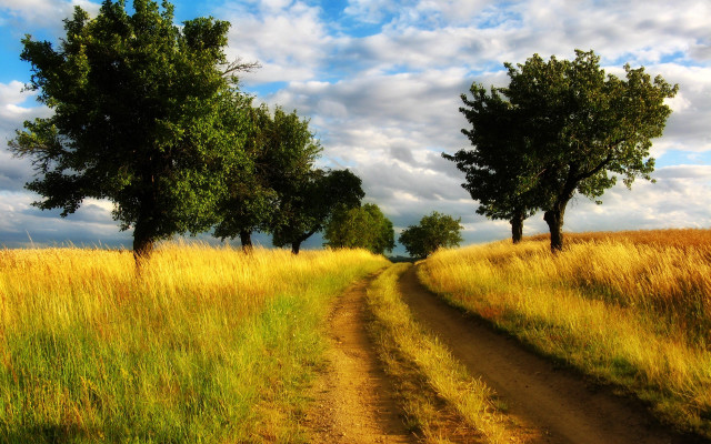 Dirt road field trees sky free wallpaper - medium preview image