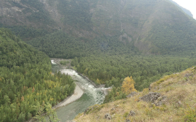 River forest mountain nature ecological free wallpaper - medium preview image