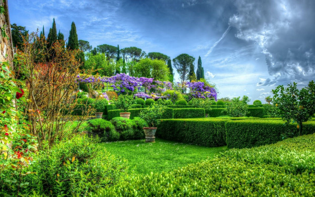 Garden bushes flowers cloudy sky free wallpaper - medium preview image