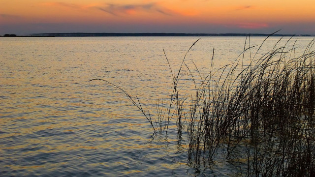 Lake tallgrass sunset clouds forest free wallpaper - medium preview image