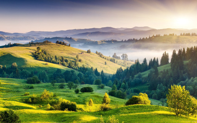 Green valley trees mountains sun free wallpaper - medium preview image